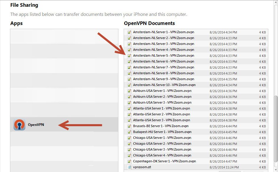 Apple IOS OpenVPN Setup Guide Step Five Apple IOS OpenVPN Setup Guide Step Five