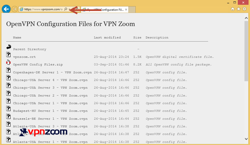 windows8-openvpn2