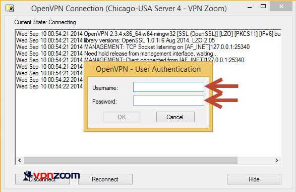 windows8-openvpn5